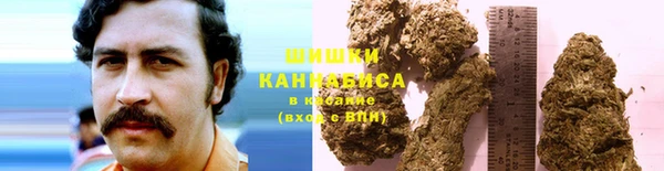 дурь Алексеевка