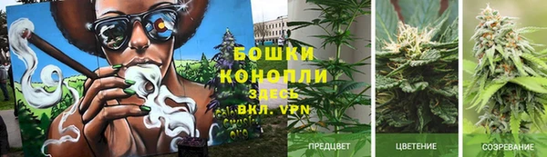 дурь Алексеевка