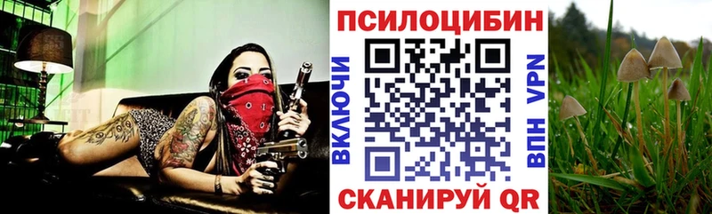ОМГ ОМГ онион  Нижний Ломов  Псилоцибиновые грибы GOLDEN TEACHER  купить  